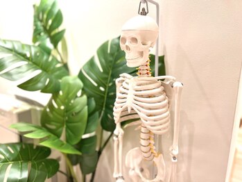 ビトリア 小顔 骨盤美容矯正サロン(BITORIA)/骨盤の歪みは小顔にも影響!