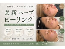 ザ ハーブ スキン(THE HERB SKIN)の雰囲気(最新ハーブピーリング【首肩の施術付き】)
