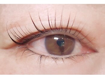 アポロランド ルーナ/ラッシュリフト