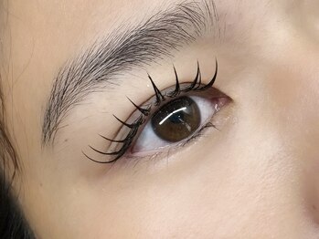 ソファー 八王子(sofa)/フラットラッシュ [八王子]