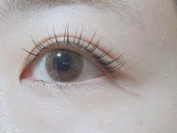 Setsuko life×beauty まつ毛パーマ/マツエク/眉毛の写真/美しい仕上がりを、もっと長く。自まつげの健康を第一に考えた負担の少ない施術で理想の目元が続きます。