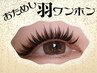 【特別メニュー】おためし♪【LED】羽ワンホン60本でもボリューミー