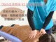 立川わかば整骨院の写真