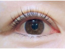 アポロランド ルーナ/ラッシュリフト