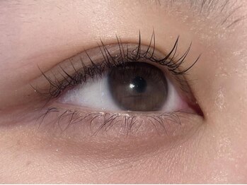 アンネ 梅田 GRACE店(ANNE)/カーキブラウン