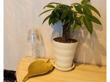 サロン ルポ(salon repos)/salon repos