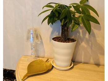 サロン ルポ(salon repos)/salon repos