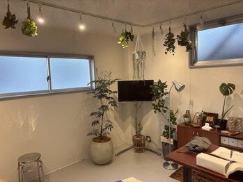 トワトワ(ToiToi)/