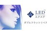 【LED】　ダブルフラット　【リペア】　60束（120本）まで
