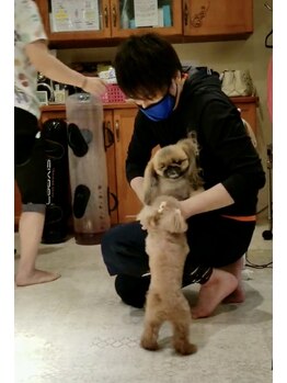 ルナスポット/生徒さんのわんちゃん