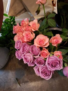 ブルーローズ(Blue rose)/