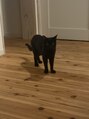 フィル(FIL.)&nbsp;愛犬、愛猫が日々の癒しです