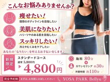ヨサパーク ビリュウ(YOSA PARK Bellyu)