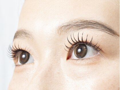 アイル(eye'll)の写真