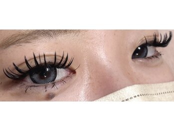 ダリア(Dahlia)/バインドロック１４０束★