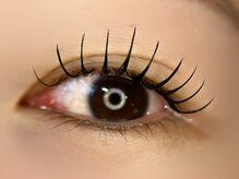 ラウ(Lau)/フラットラッシュ140本