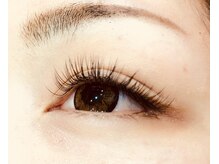 ディシェーレ アスト(die-Schere Ast)/フラットラッシュ120本