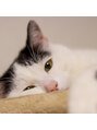 マカナ整体サロン 栄(MAKANA)&nbsp;実家の愛猫です。
