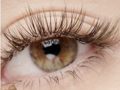 ノエル 久里浜店(Noel)の写真