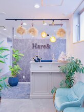 ハレアンド(Hare&)/サロン内部