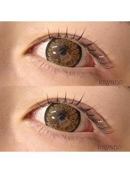 ビーエルティー(blt)/まつ毛パーマ