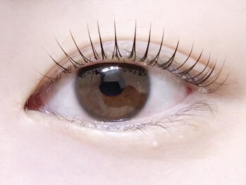 リーベ 高槻(Liebe)/☆まつ毛パーマ(ラッシュリフト)