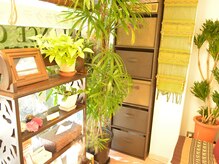 東神奈川整体院 バランス ケア カイロプラクティック(Balance Care)/待合