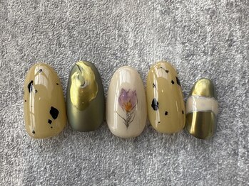 定額specialコース