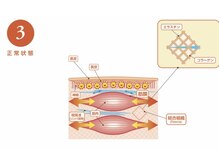セルビューティー(Cell Beauty)/体質ケアなら筋膜リリース
