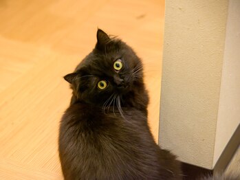 晴々/振り向きおこげ！