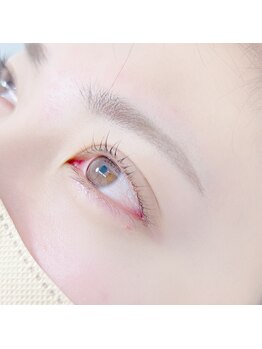 ヴォヤージュ アキタ(VOYAGE AKITA)/アイブロウ