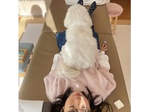 セカンドライフ(Second Life)の雰囲気（看板犬のいるお店♪アニマルセラピーも受けられます）