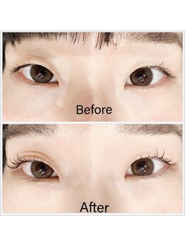 アーク(Ark)/根元から立ち上げ