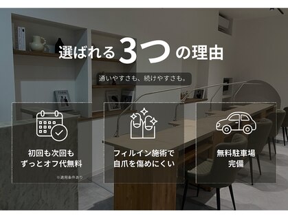 シェルシー(Shellsee)の写真