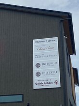 シュシュ(Chou chou)/道路からの看板です