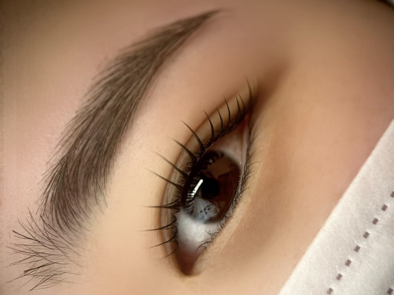 マドンナリリー マドンナリリー(Madonna Lily)｜ホットペッパービューティー