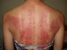 足楽園 池尻大橋店/カッサ