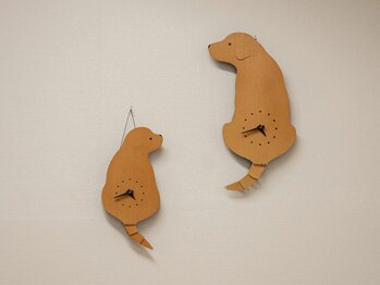 ゆうトレ接骨院/院内のアイドル