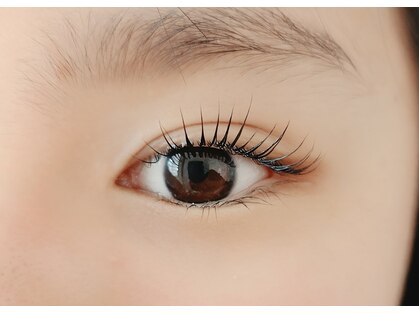 ラキ(LAKI)の写真