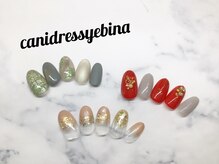 キャンアイドレッシー 海老名/定額ネイル　プラチナ