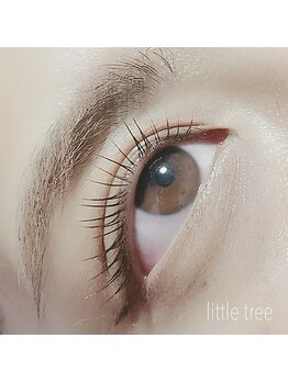 リトルツリー(little tree)/人気のラッシュリフト