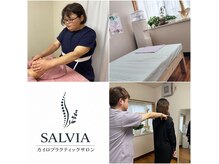 サルヴィア(SALVIA)