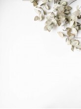 メイン(Main)&nbsp;池野 優