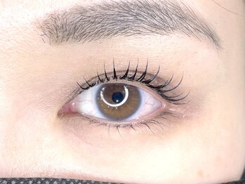 ビレア 本山店(BELEA)/【ラッシュリフトまつげパーマ】