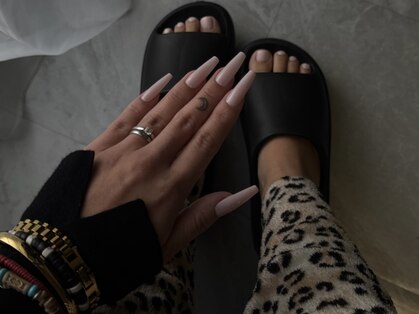 ヴィーナス トラップ(VENUS TRAP)の写真