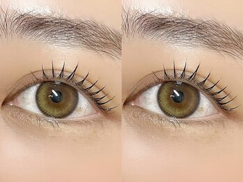 ノエル 新宿南口(Noel)/次世代まつげパーマ　新宿南口