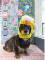 スキャプラ あざみ野荏田店(SCAPULA) 愛犬マロニーちゃん