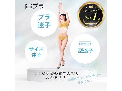 リリー(Lily)の写真