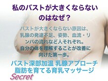 シークレット(Secret)