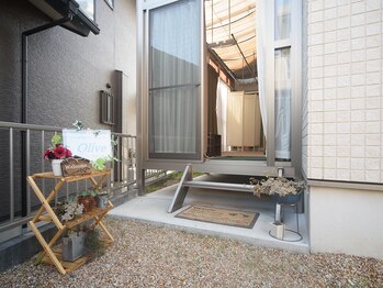 オリーブ(Olive)/外観